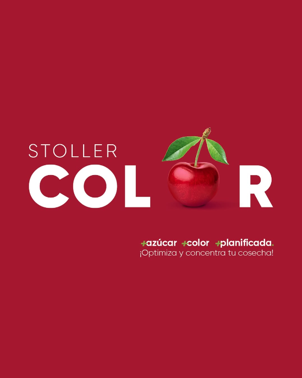 Captura de Pantalla 2025-12-22 a la(s) 12.27.38